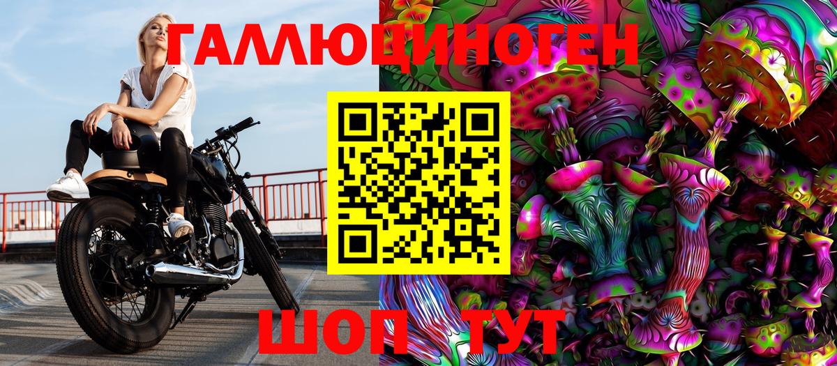Псилоцибиновые грибы Psilocybe Электрогорск