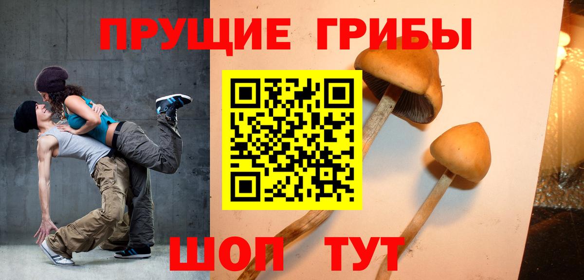 Галлюциногенные грибы ЛСД  Вход с VPN  Электрогорск 
