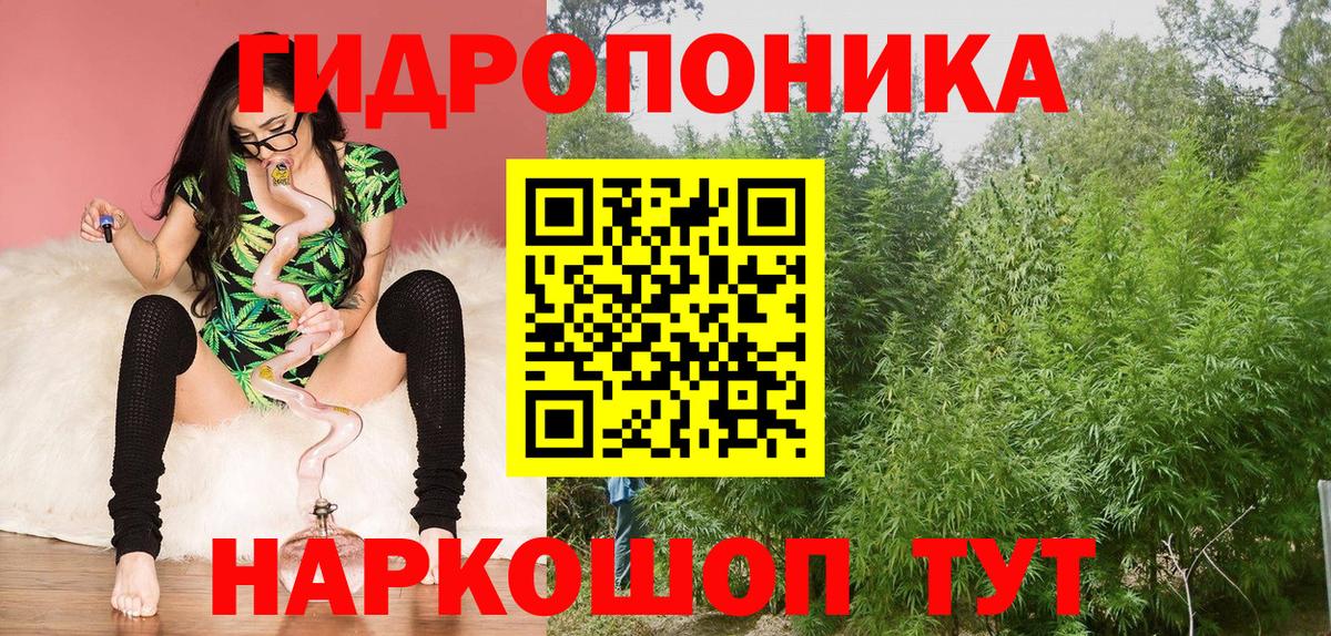 Электрогорск  Бошки Шишки сатива  МАРИХУАНА план  Вход с VPN 